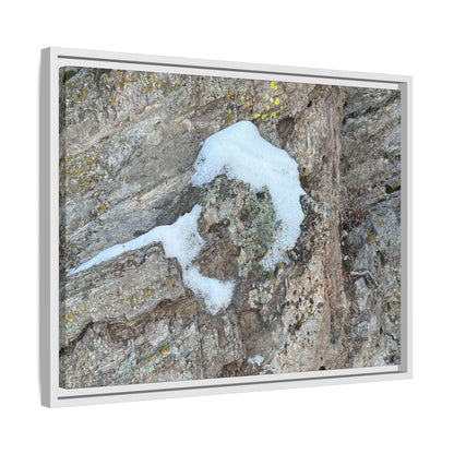 Lichen's Embrace - Unique Stretched Canvas Wall Art