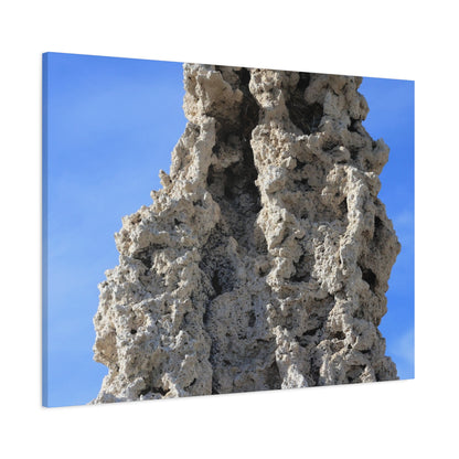 Calcified Whispers - Unique Frameless Canvas Wall Art