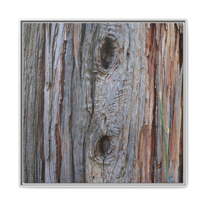 Knotty Nature - Unique Stretched Canvas Wall Art - Art By Earth