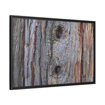 Knotty Nature - Unique Stretched Canvas Wall Art - Art By Earth