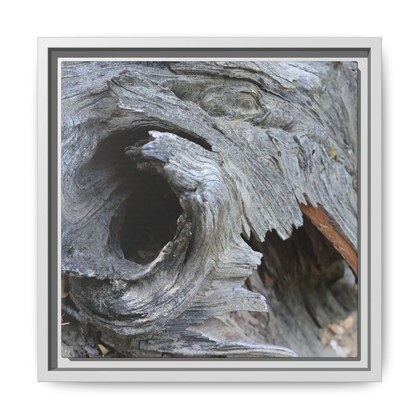 Bark's Labyrinth - Unique Stretched Canvas Wall Art - Art By Earth