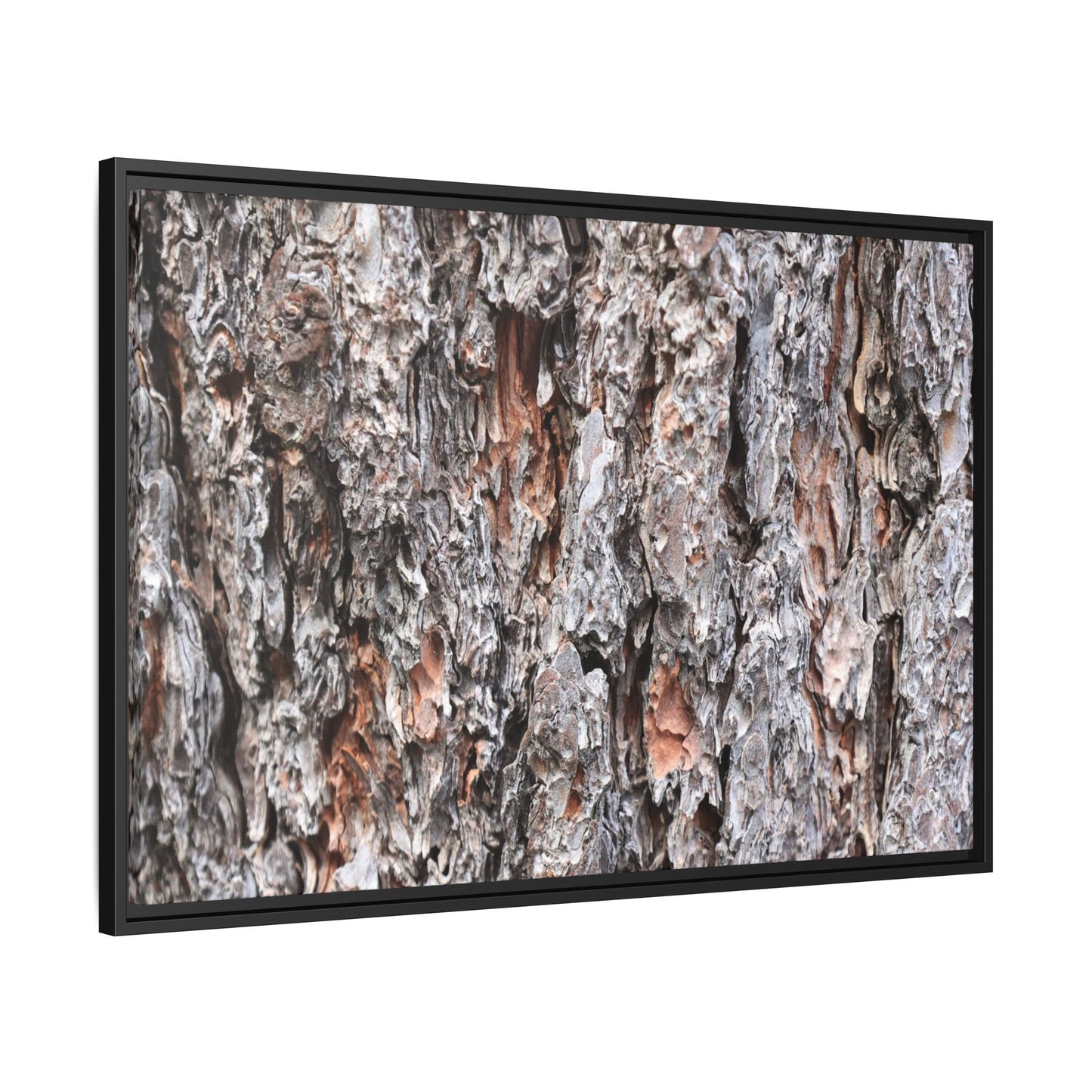 Rugged Cortex - Unique Stretched Canvas Wall Art - Art By Earth