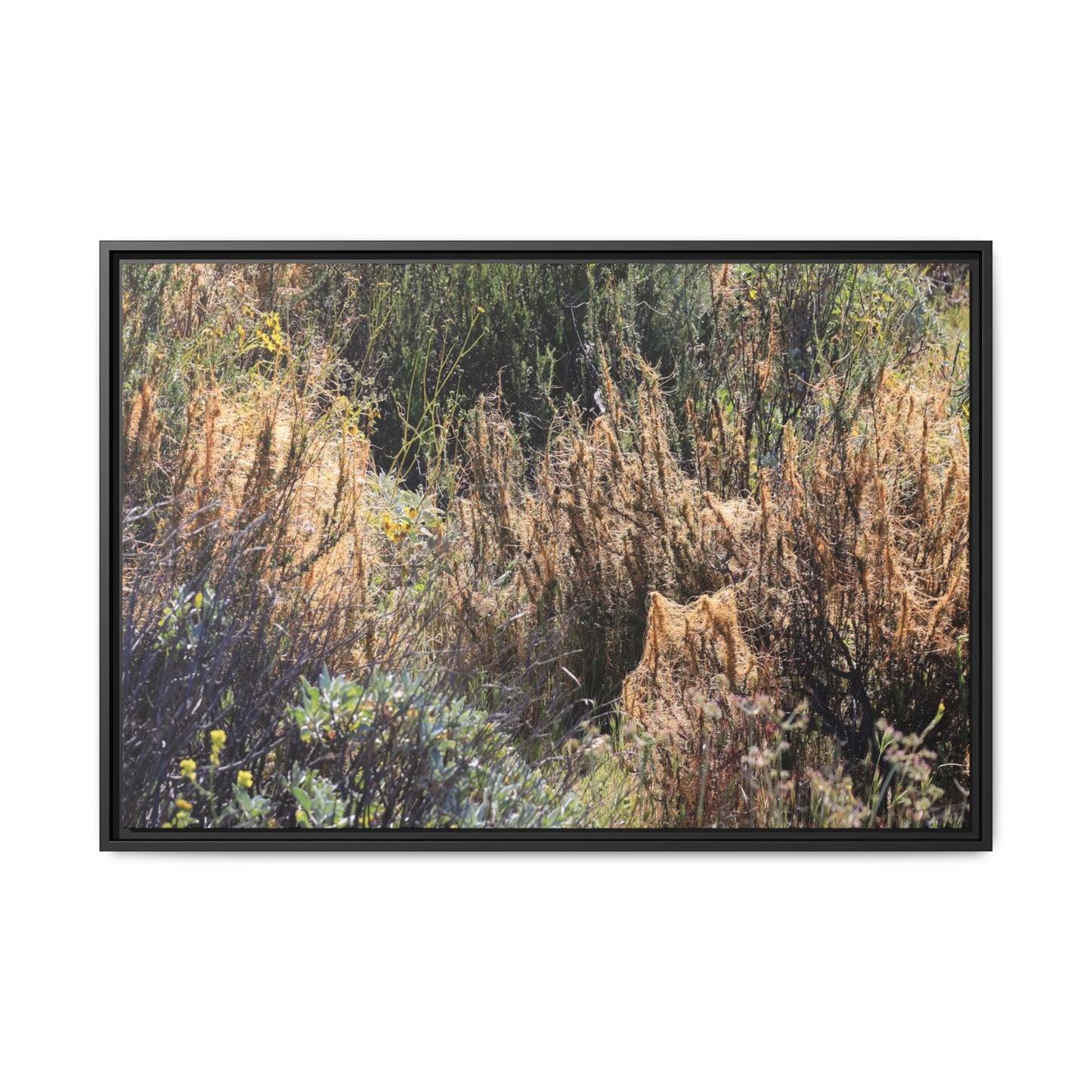 Drought-Stricken Landscape - Unique Stretched Canvas Wall Art - Art By Earth