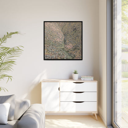 Mountain Slope with Desert Vegetation - Unique Stretched Canvas Wall Art - Art By Earth