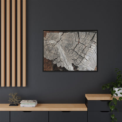 Time's Signature - Unique Stretched Canvas Wall Art - Art By Earth