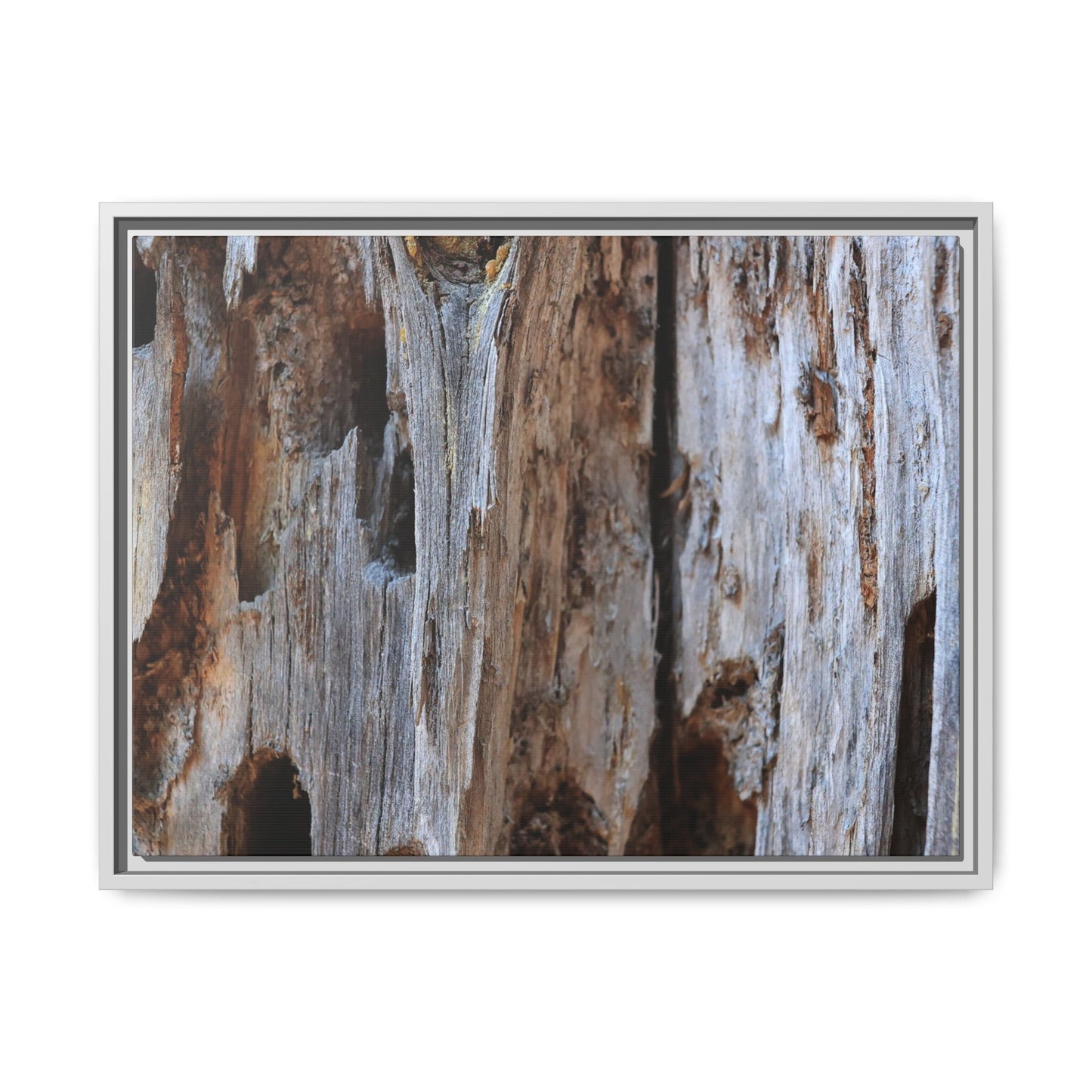 Decaying Splendor - Unique Stretched Canvas Wall Art - Art By Earth