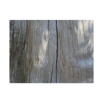 Split Log - Unique Frameless Canvas Wall Art