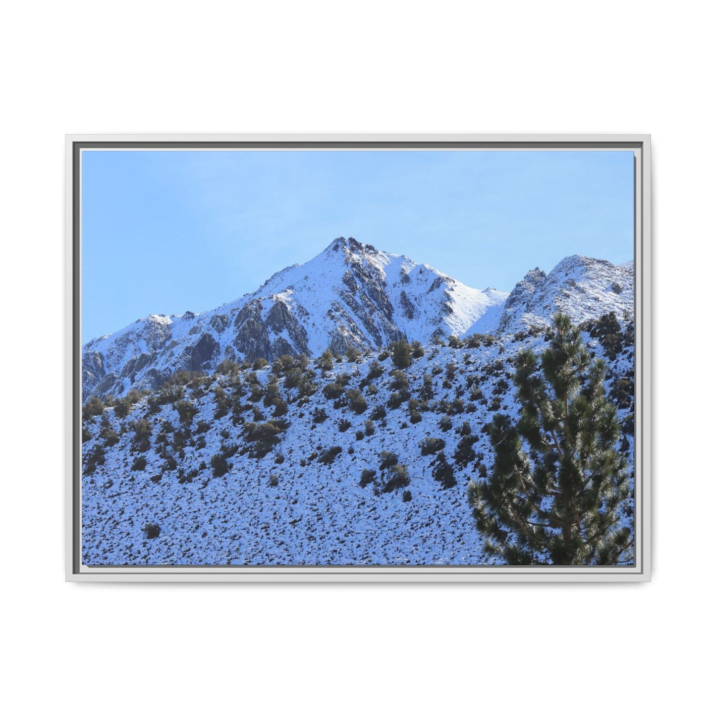 Snow's Embrace - Unique Stretched Canvas Wall Art