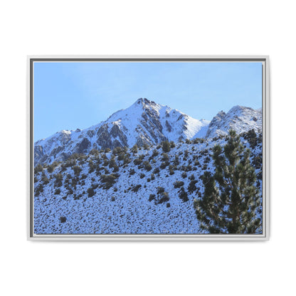 Snow's Embrace - Unique Stretched Canvas Wall Art