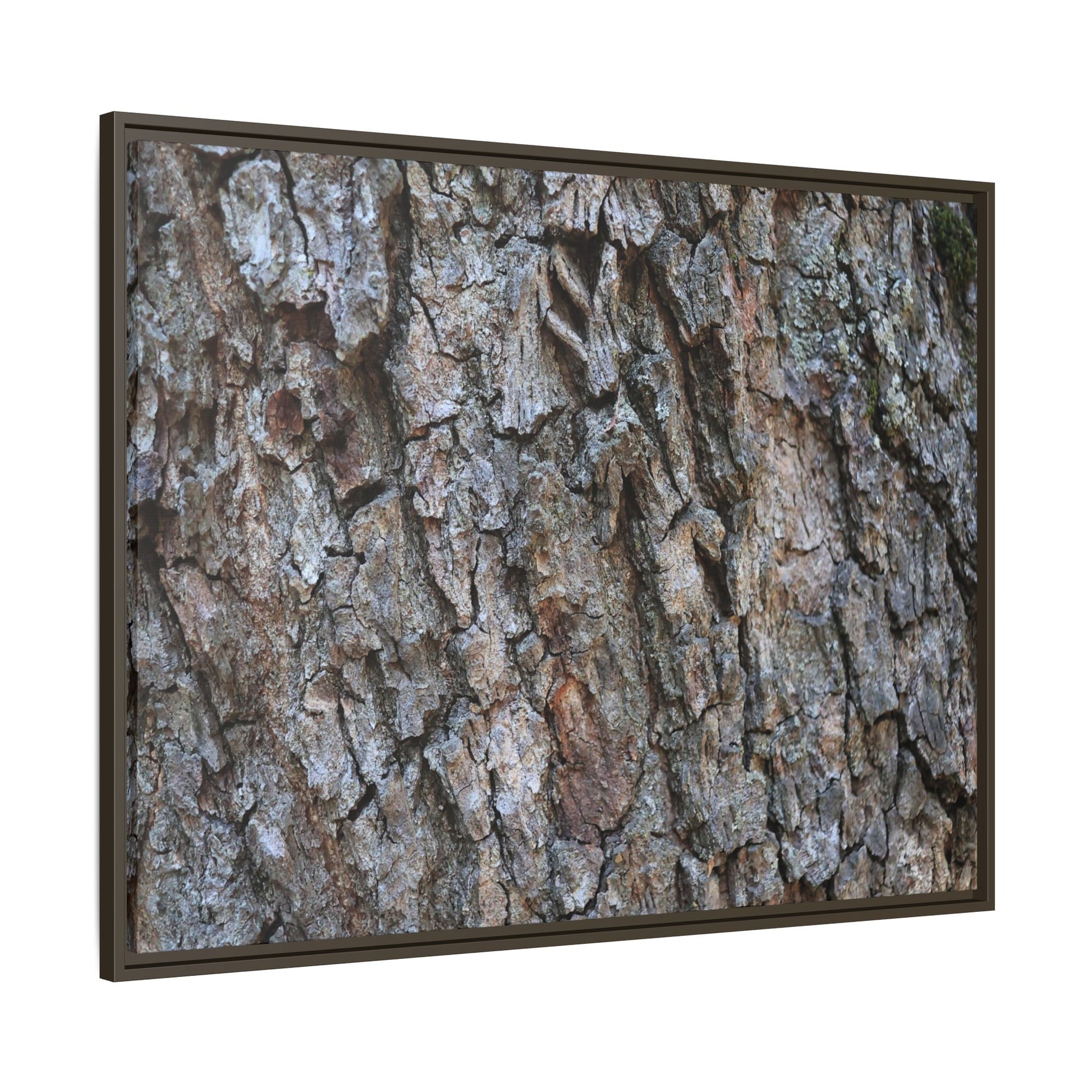 Woodland Skin - Unique Stretched Canvas Wall Art - Art By Earth