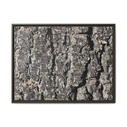 Bark Study in Gray - Unique Stretched Canvas Wall Art - Art By Earth