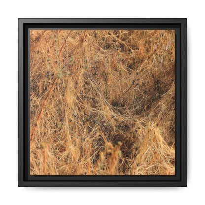 Dried Vegetation Study - Unique Stretched Canvas Wall Art - Art By Earth