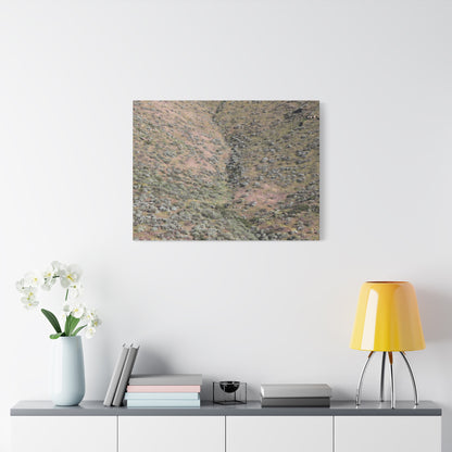Desert Hillside - Unique Frameless Canvas Wall Art - Art By Earth