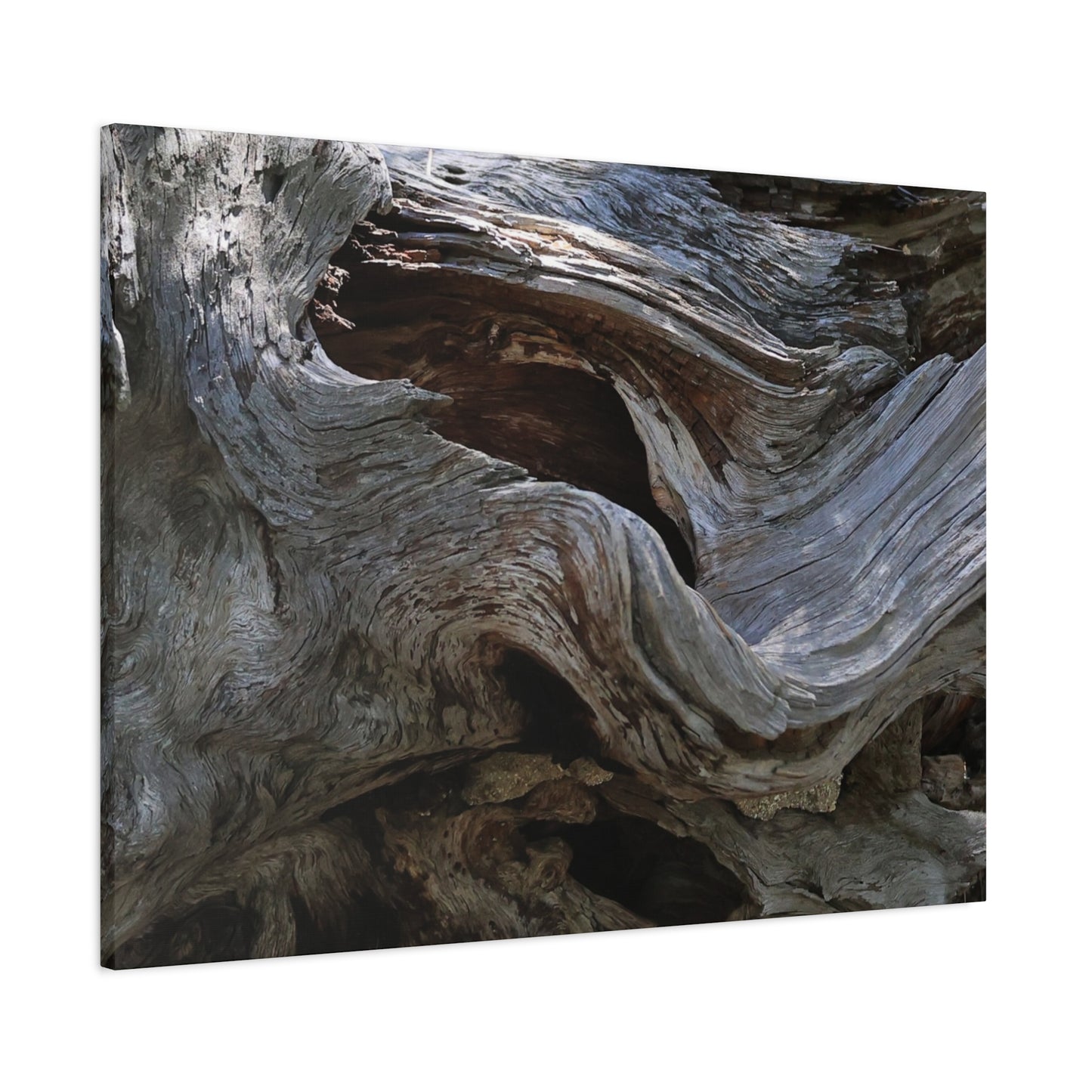 Twisted Fate - Unique Frameless Canvas Wall Art - Art By Earth