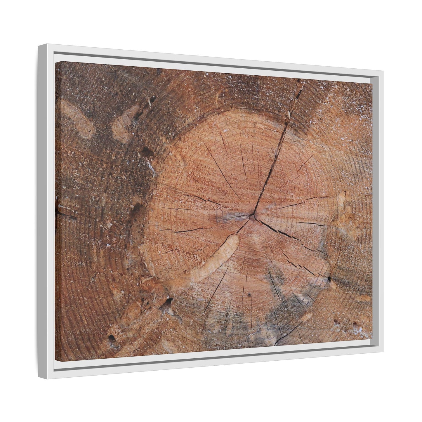 Concentric Memories - Unique Stretched Canvas Wall Art - Art By Earth