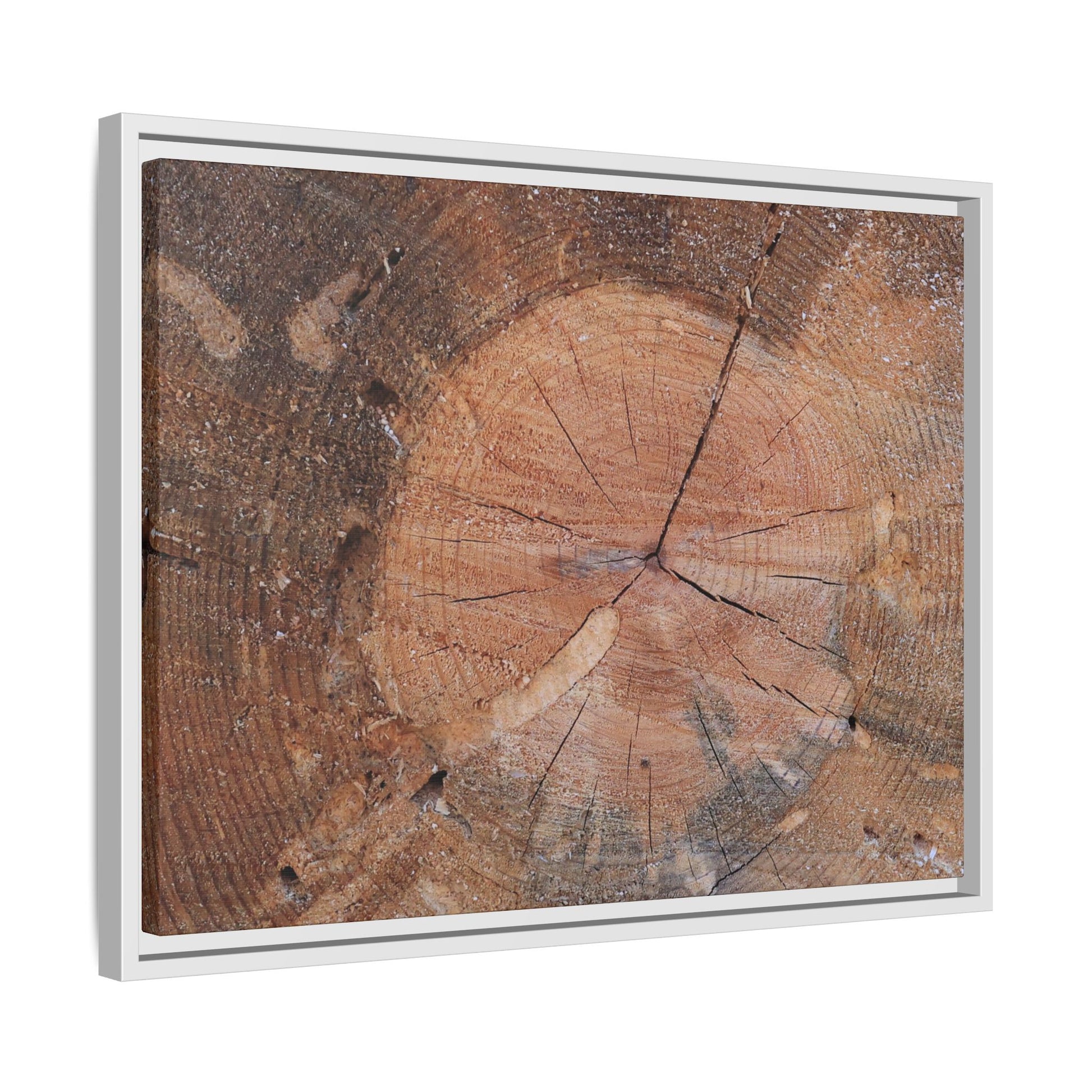 Concentric Memories - Unique Stretched Canvas Wall Art - Art By Earth