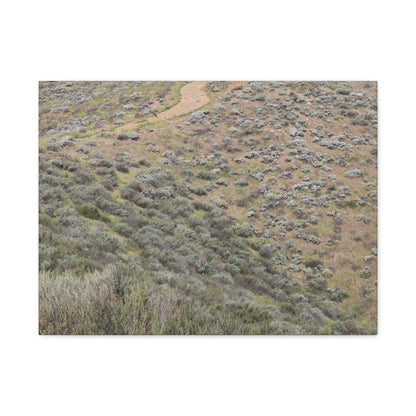 Desert Path Through Sagebrush - Unique Frameless Canvas Wall Art - Art By Earth