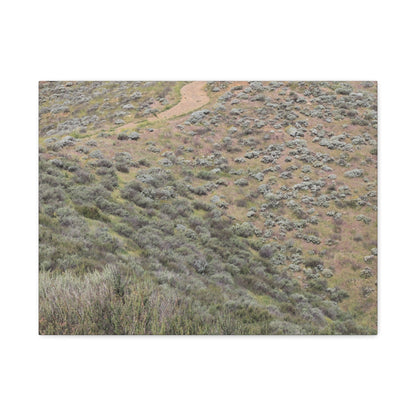 Desert Path Through Sagebrush - Unique Frameless Canvas Wall Art - Art By Earth