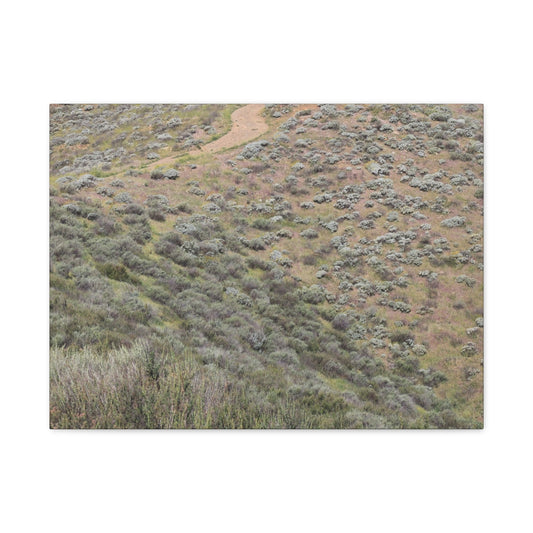 Desert Path Through Sagebrush - Unique Frameless Canvas Wall Art - Art By Earth