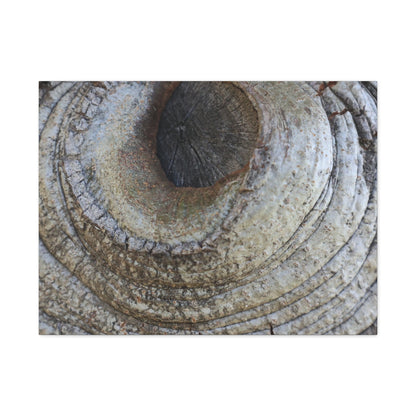 Bark's Eye - Unique Frameless Canvas Wall Art - Art By Earth