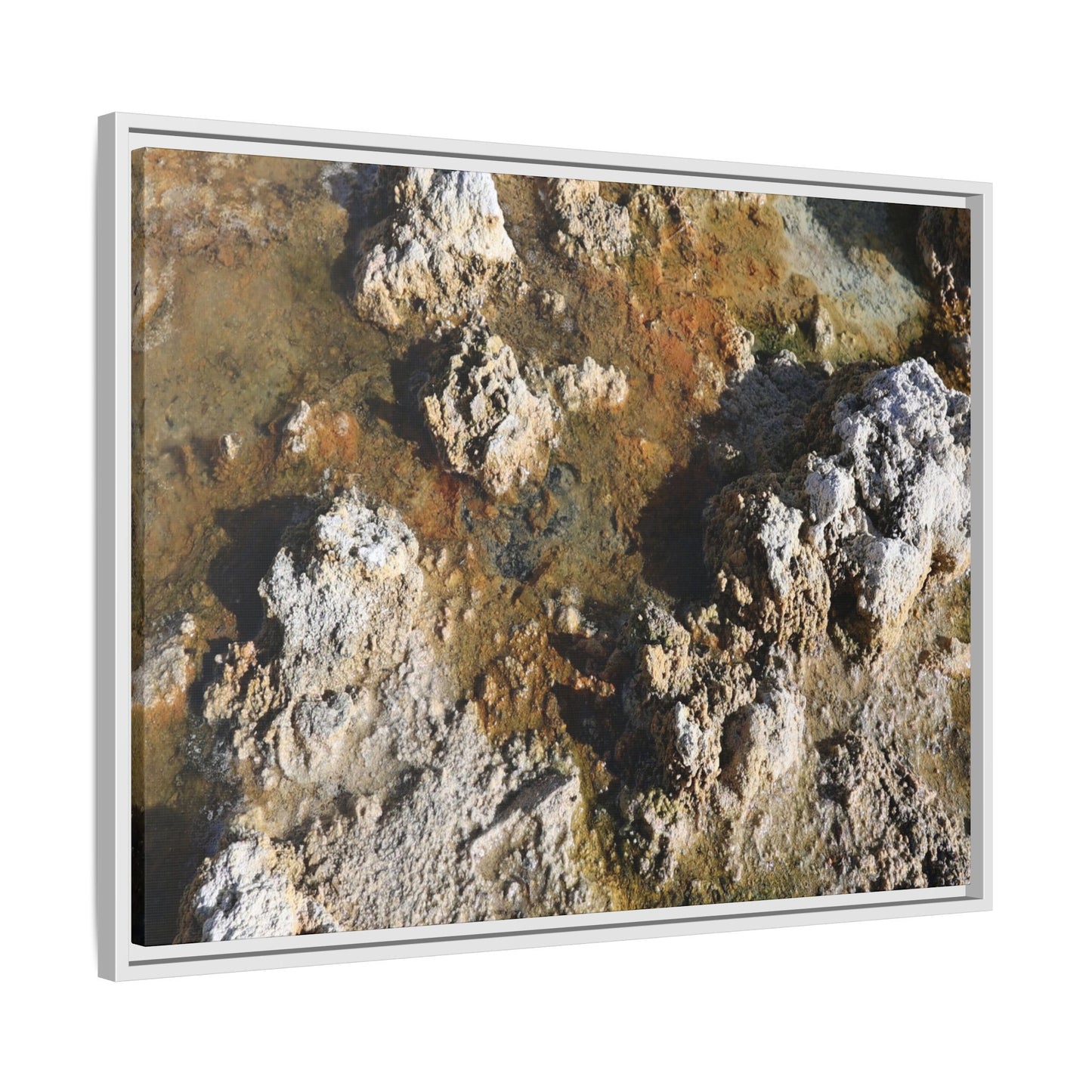 Textural Metamorphosis - Unique Stretched Canvas Wall Art