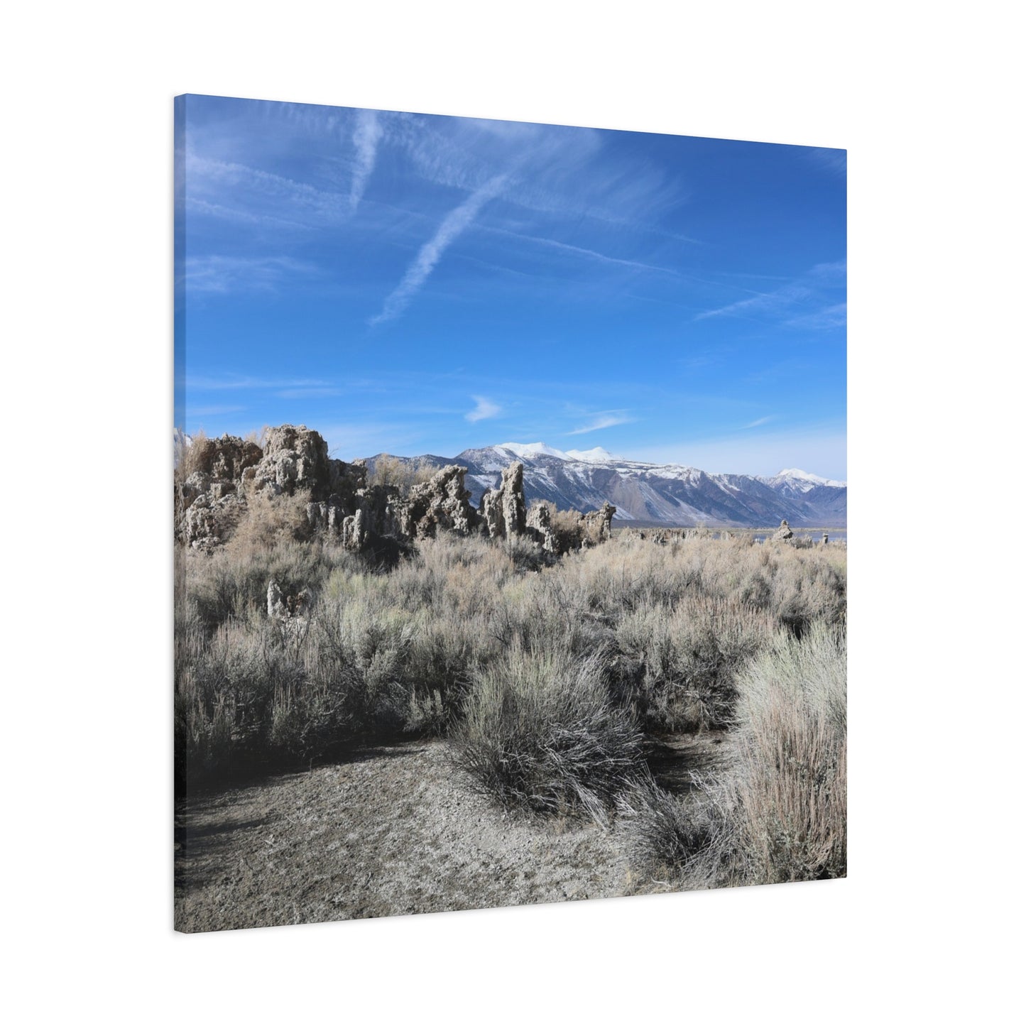 Echoes of Solitude - Unique Frameless Canvas Wall Art