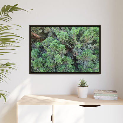 Verdant Whispers - Unique Stretched Canvas Wall Art - Art By Earth