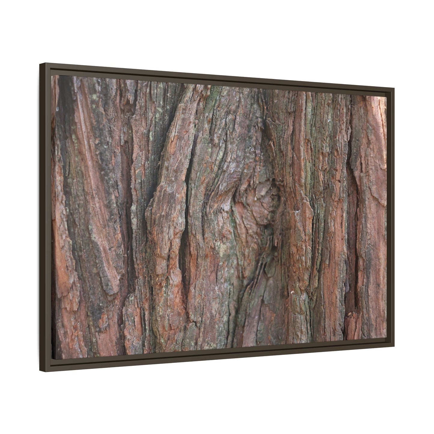 Rugged Textures - Unique Stretched Canvas Wall Art - Art By Earth