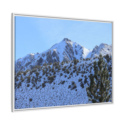 Snow's Embrace - Unique Stretched Canvas Wall Art