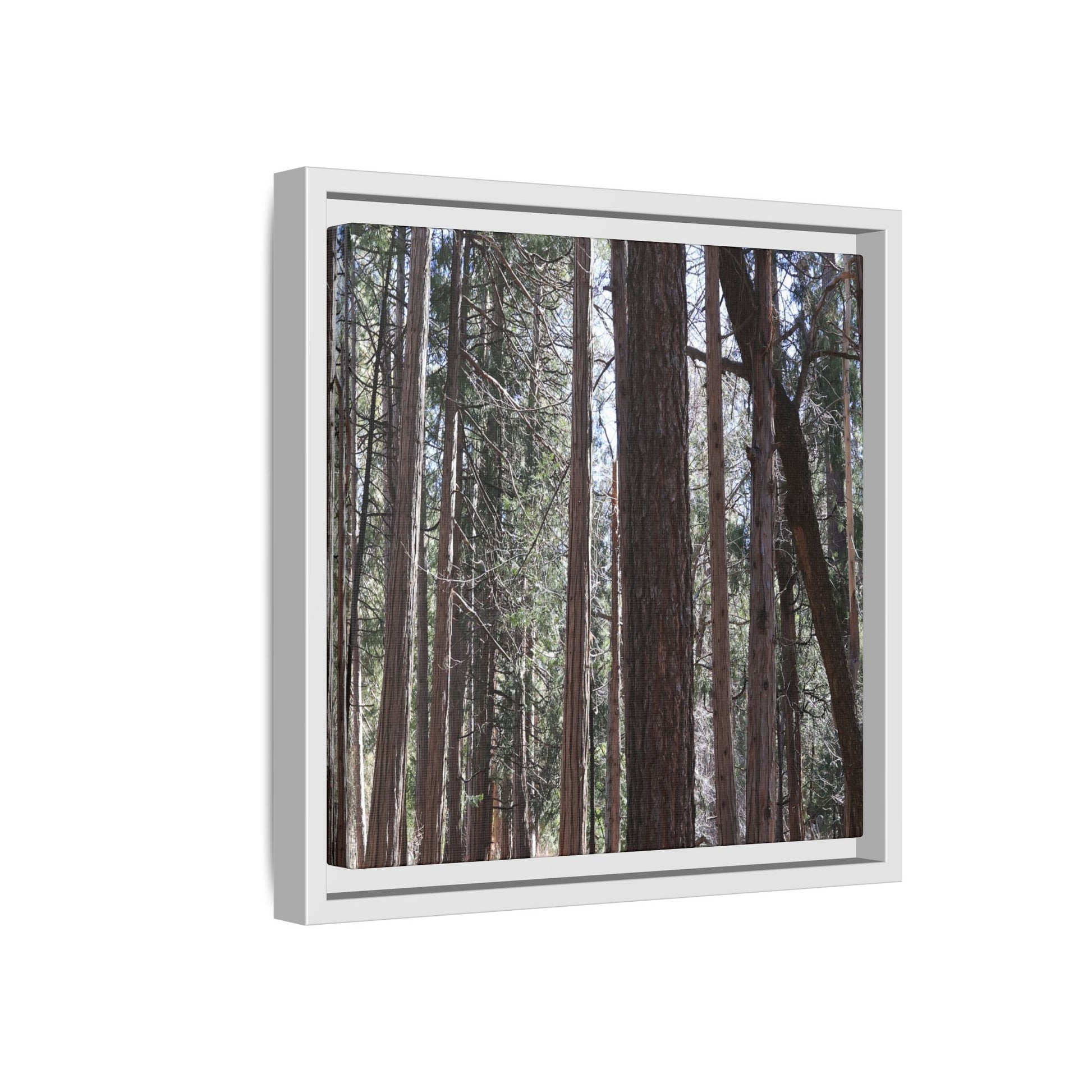 Forest Cathedral - Unique Stretched Canvas Wall Art - Art By Earth