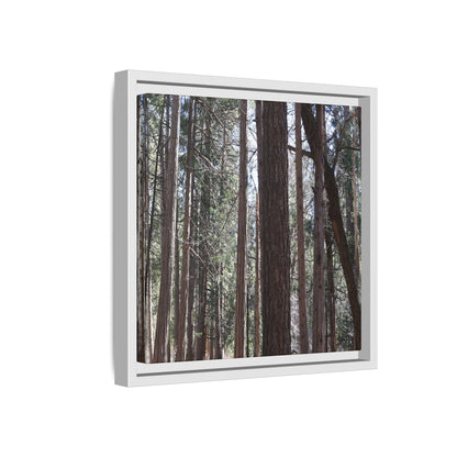 Forest Cathedral - Unique Stretched Canvas Wall Art - Art By Earth