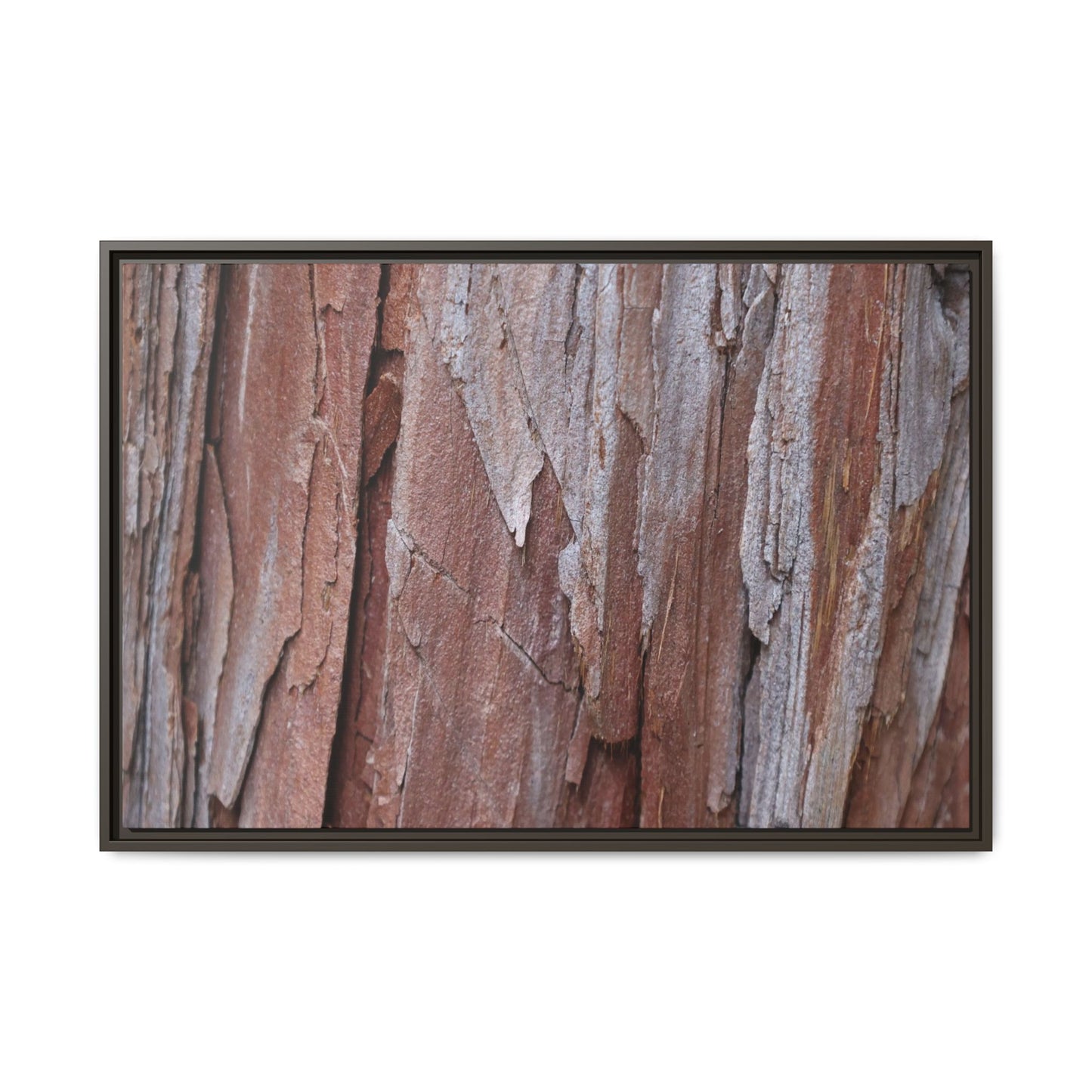 Time and Decay - Unique Stretched Canvas Wall Art - Art By Earth