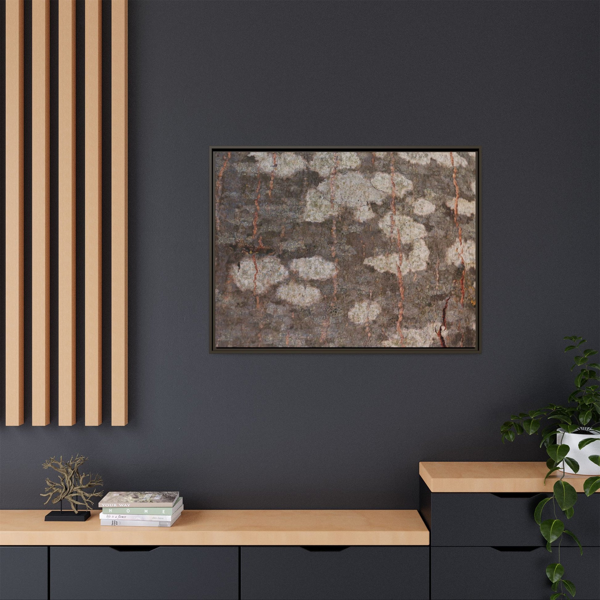 Lichen's Legacy - Unique Stretched Canvas Wall Art - Art By Earth