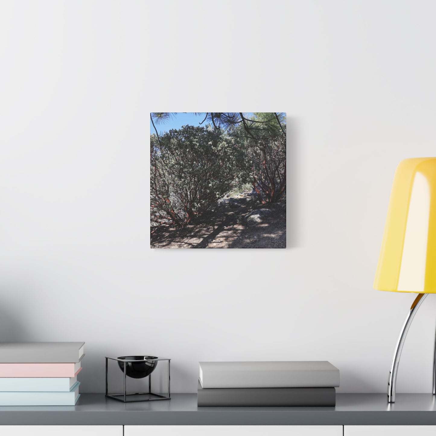 Desert Blooms - Unique Frameless Canvas Wall Art