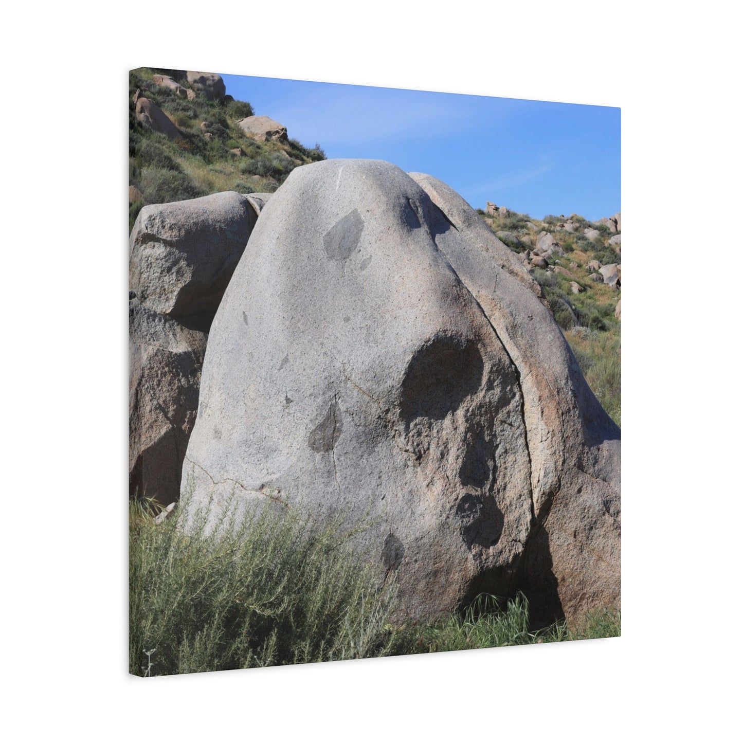 Skull Rock - Unique Frameless Canvas Wall Art - Art By Earth