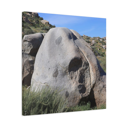 Skull Rock - Unique Frameless Canvas Wall Art - Art By Earth