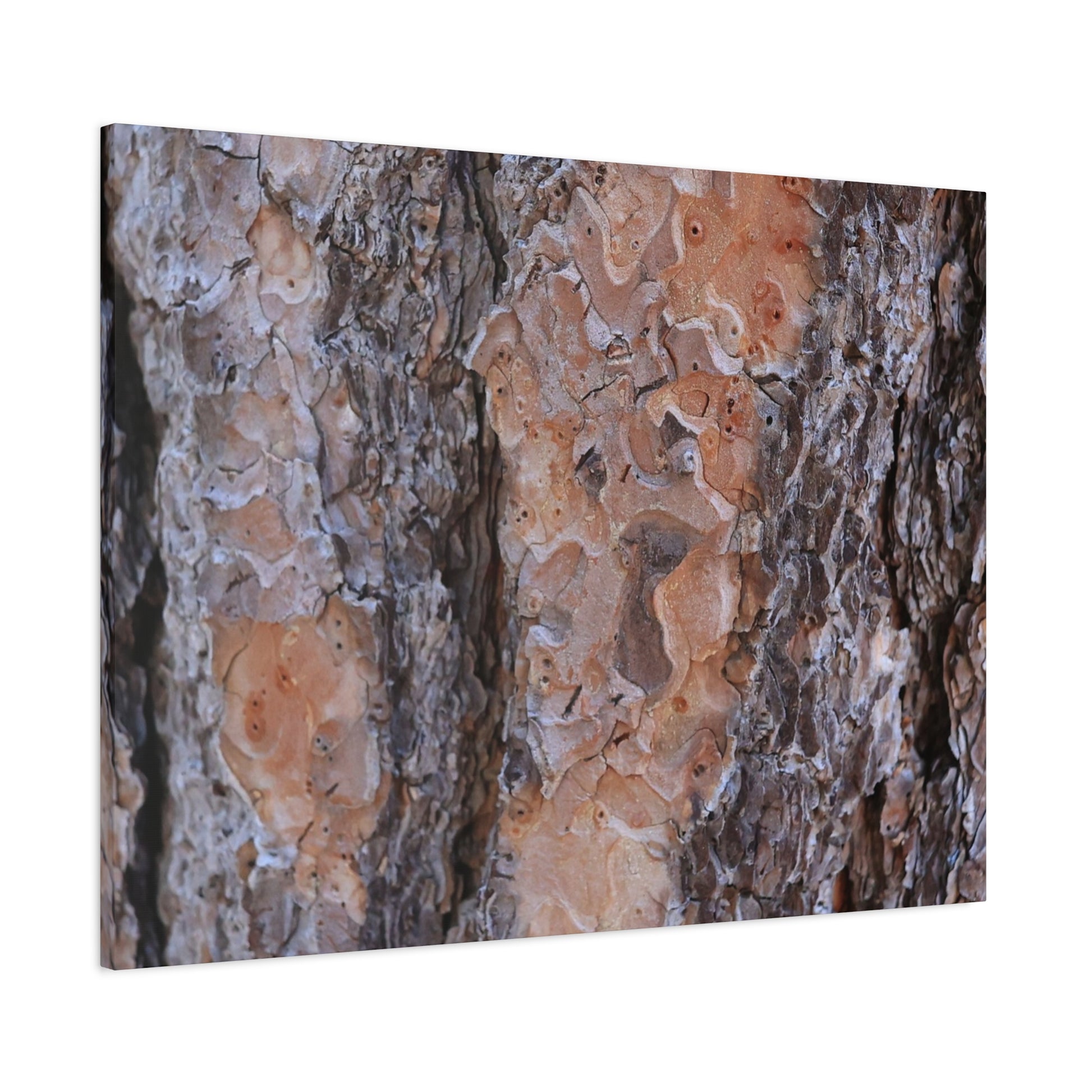 Terracotta Textures - Unique Frameless Canvas Wall Art - Art By Earth