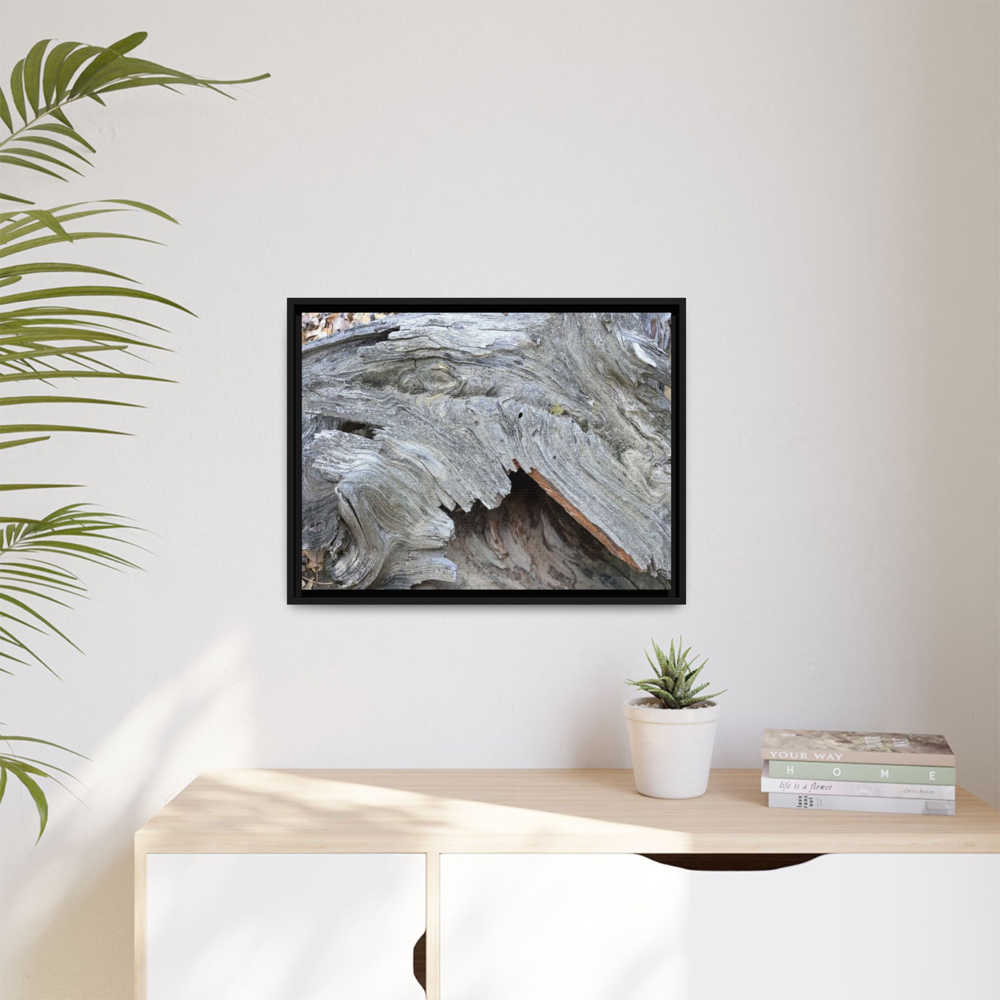 Driftwood Dreams - Unique Stretched Canvas Wall Art - Art By Earth