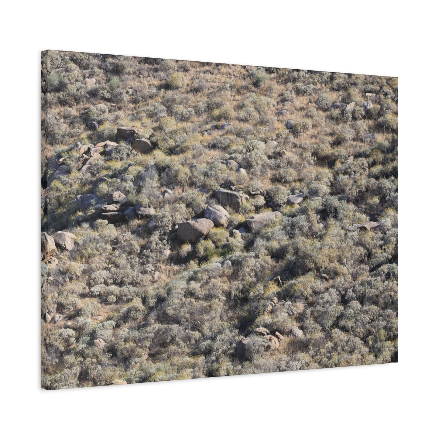 Desert Landscape with Scattered Rocks and Sage - Unique Frameless Canvas Wall Art - Art By Earth