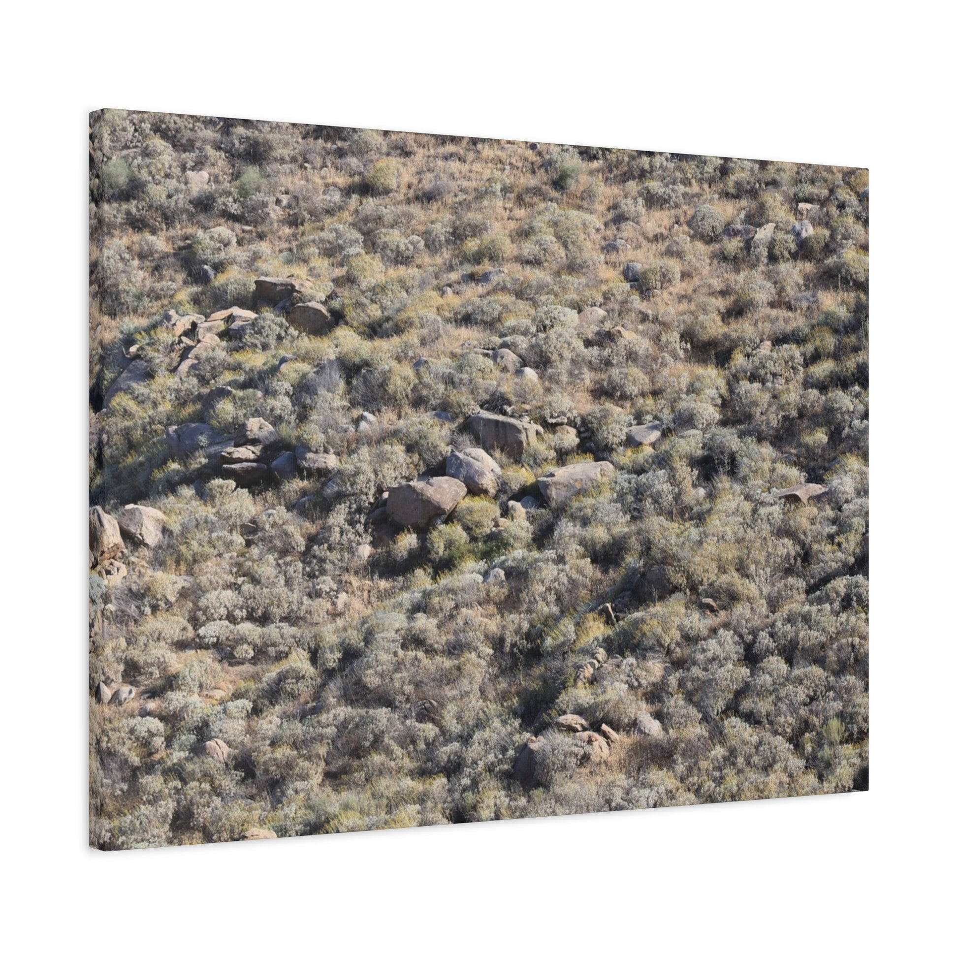 Desert Landscape with Scattered Rocks and Sage - Unique Frameless Canvas Wall Art - Art By Earth