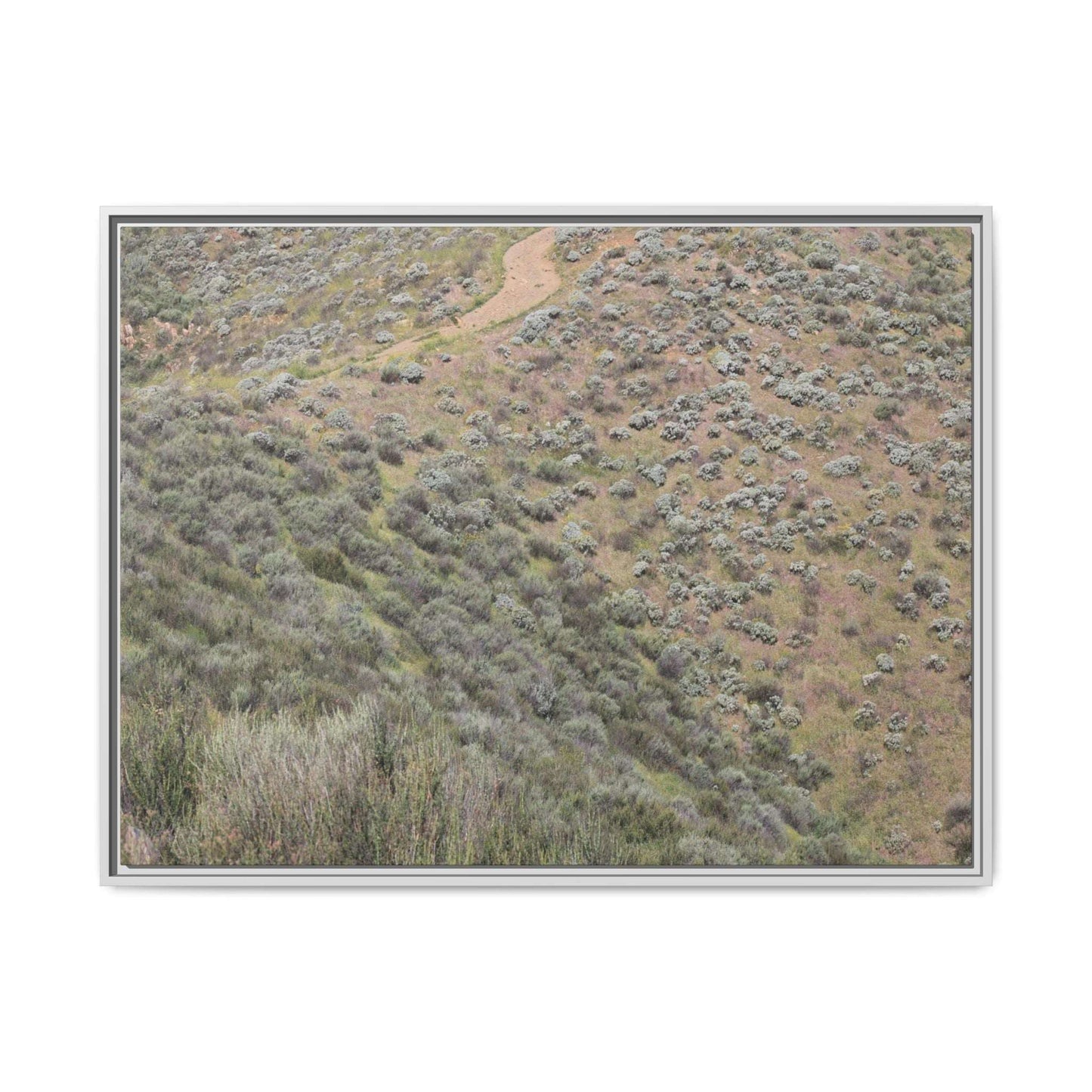Arid Landscape with Winding Path - Unique Stretched Canvas Wall Art - Art By Earth