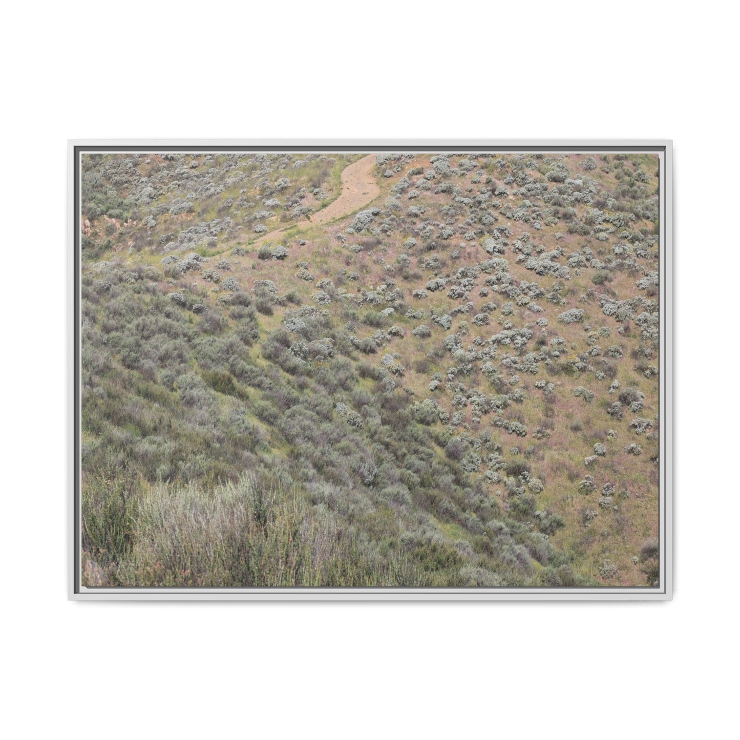 Arid Landscape with Winding Path - Unique Stretched Canvas Wall Art - Art By Earth