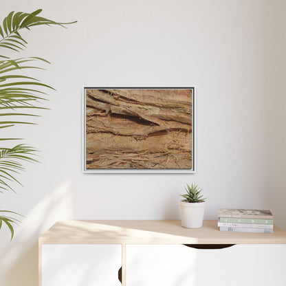 Splintered Bark - Unique Stretched Canvas Wall Art - Art By Earth