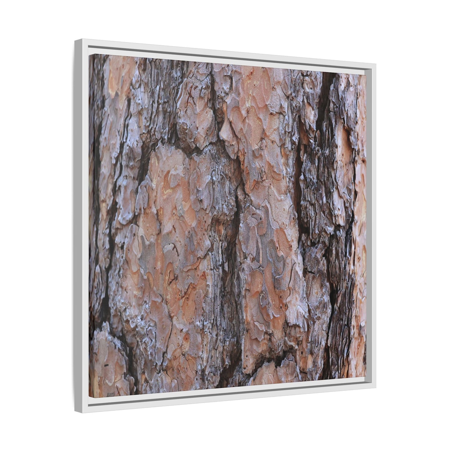 Tree Skin Symphony - Unique Stretched Canvas Wall Art - Art By Earth