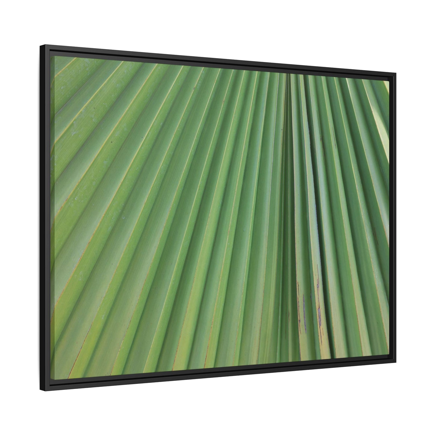 Emerald Rays - Unique Stretched Canvas Wall Art - Art By Earth