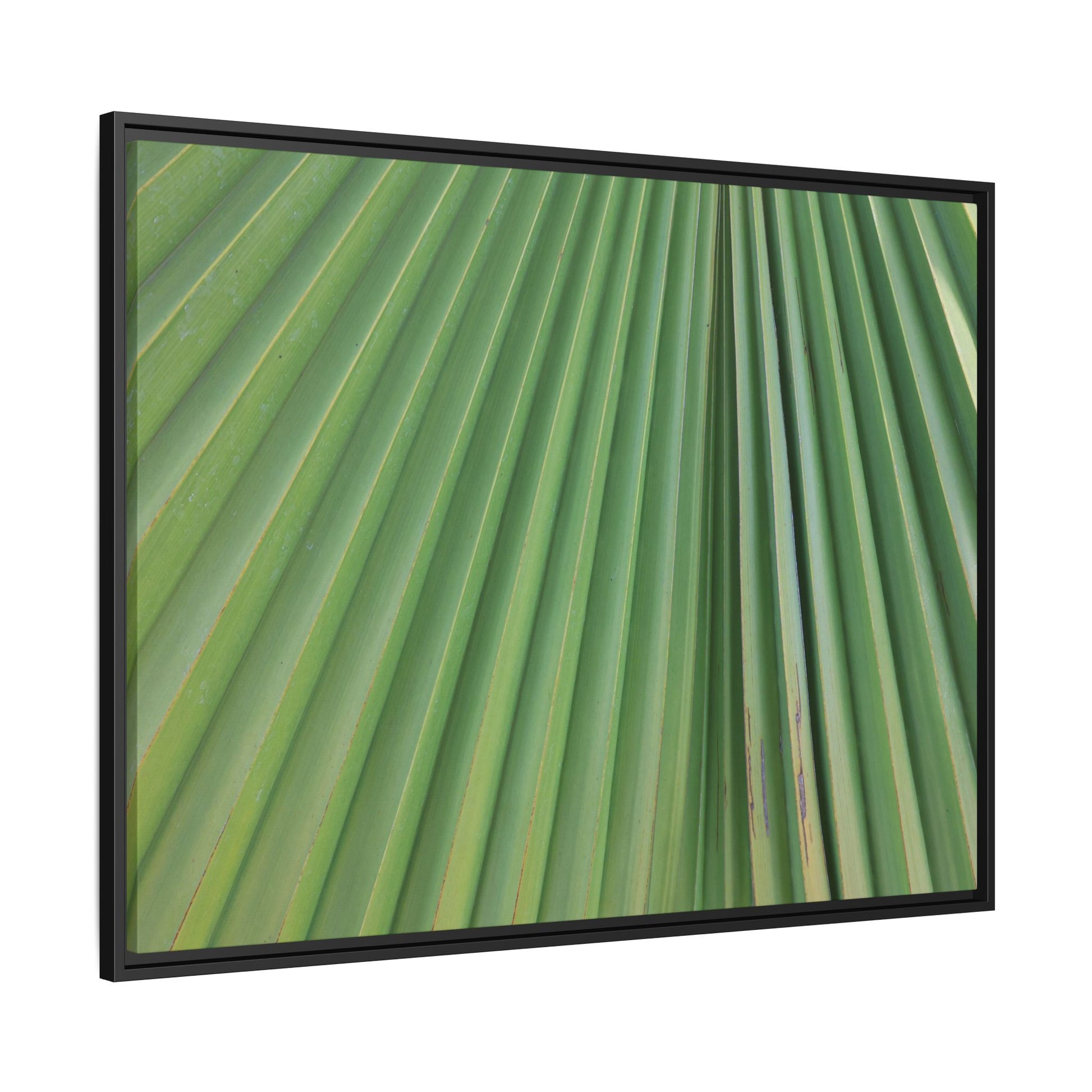 Emerald Rays - Unique Stretched Canvas Wall Art - Art By Earth