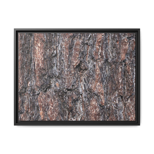 Echoes of Wood - Unique Stretched Canvas Wall Art