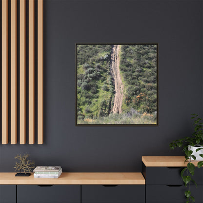 Desert Path Through Sage - Unique Stretched Canvas Wall Art - Art By Earth