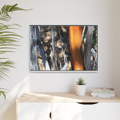 Burnt Trees and Golden Trunk - Unique Stretched Canvas Wall Art