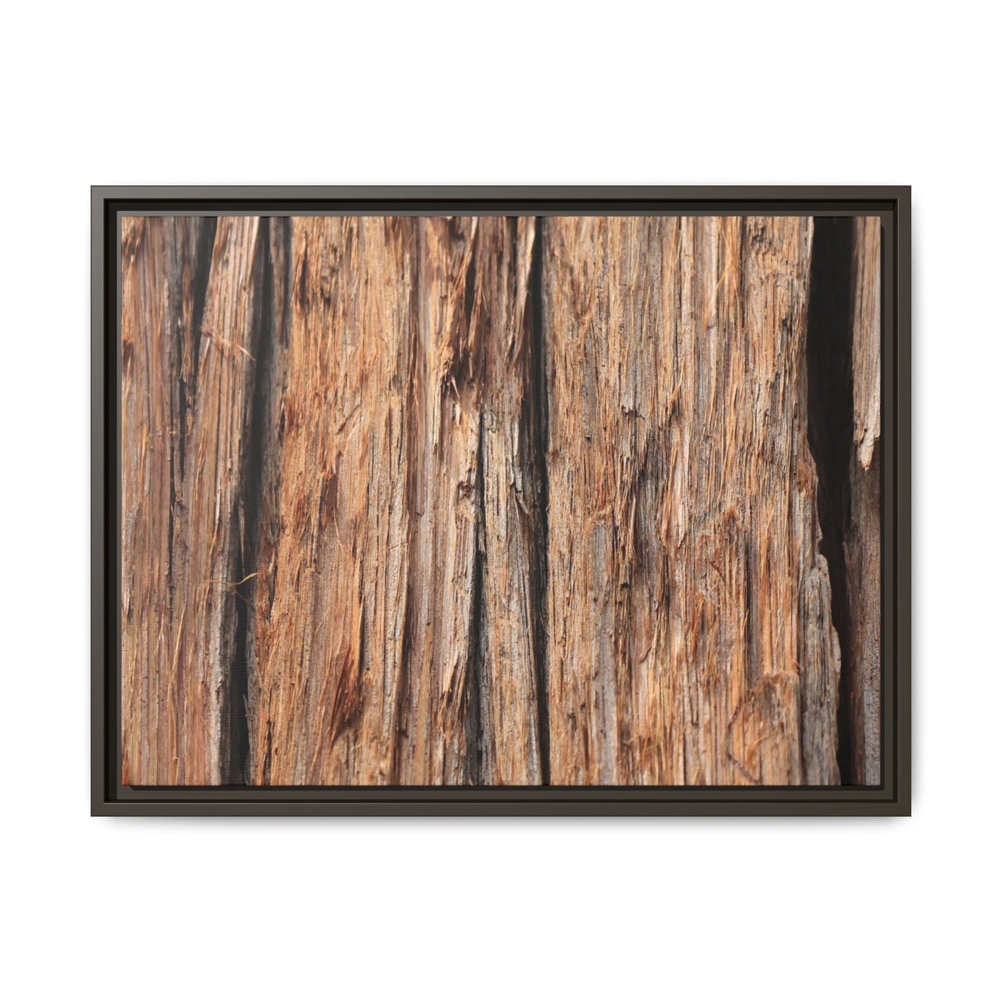 Timber Echoes - Unique Stretched Canvas Wall Art - Art By Earth
